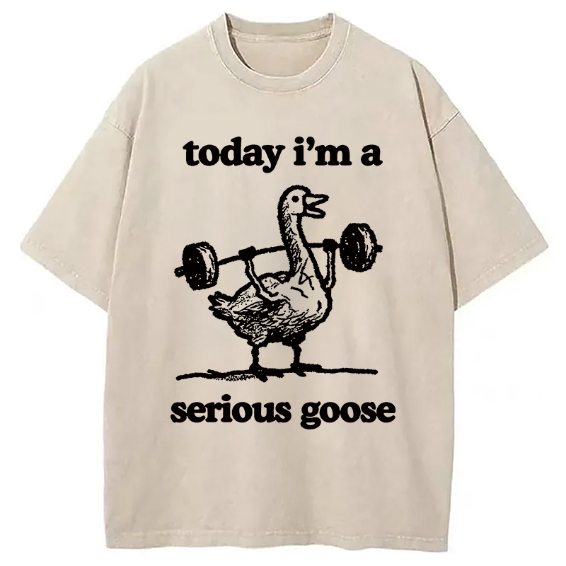 Fitness Goose Washed T-Shirt Cool Graphic Tee For Men Women Gifts For Sister Fitness Goose Washed T-Shirt Cool Graphic Tee For Men Women Gifts For Sister