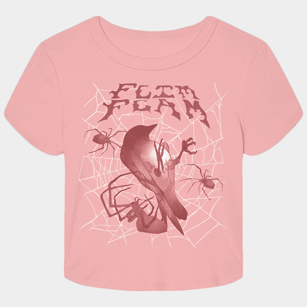 Flim Flam Merch Bird Web Cropped T-Shirt Birthday Gift Ideas For Sister