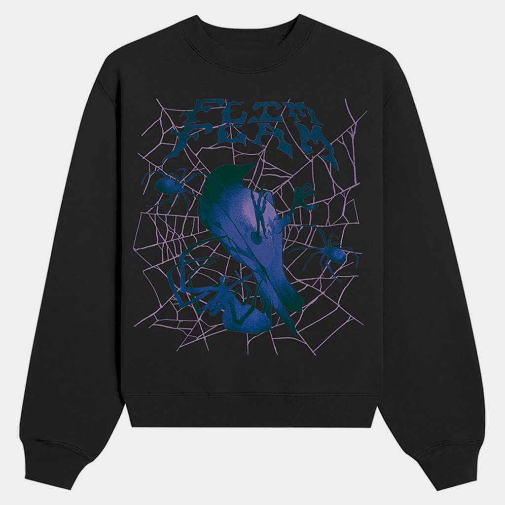 Flim Flam Merch Bird Web Sweatshirt Birthday Gift Ideas For Friends