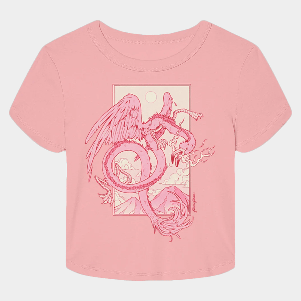 Flim Flam Merch Flamingo Dragon Cropped T-Shirt Birthday Ideas For Her
