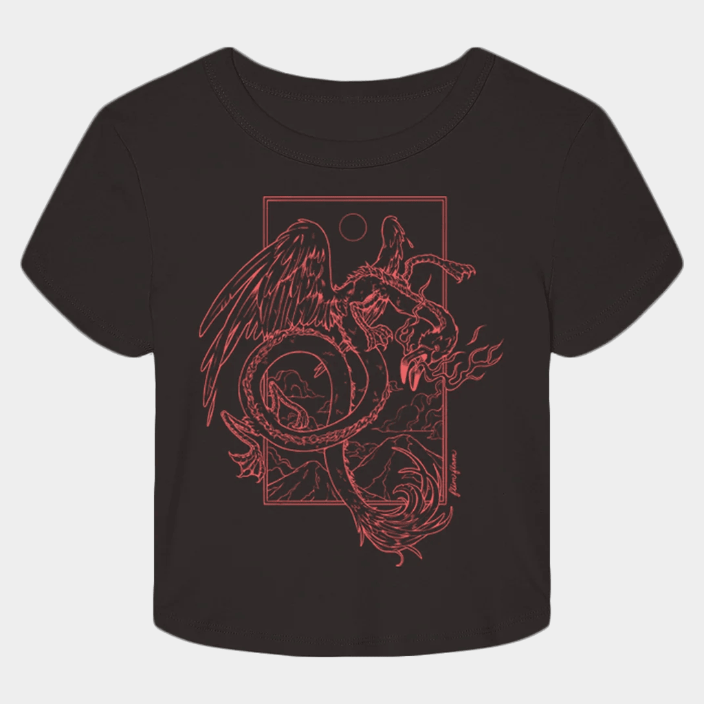 Flim Flam Merch Flamingo Dragon Cropped T-Shirt Good Gifts For Sister