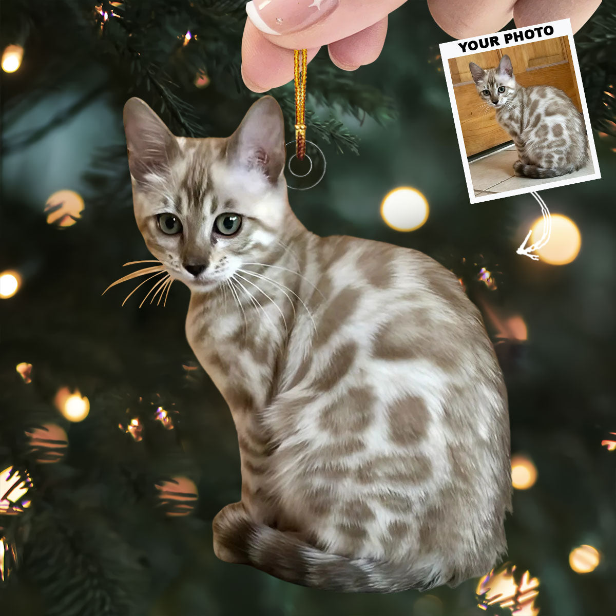 Fluffy Kitten Personalized Photo Mica Ornament Christmas Gift For Cat Lovers Cat Owner