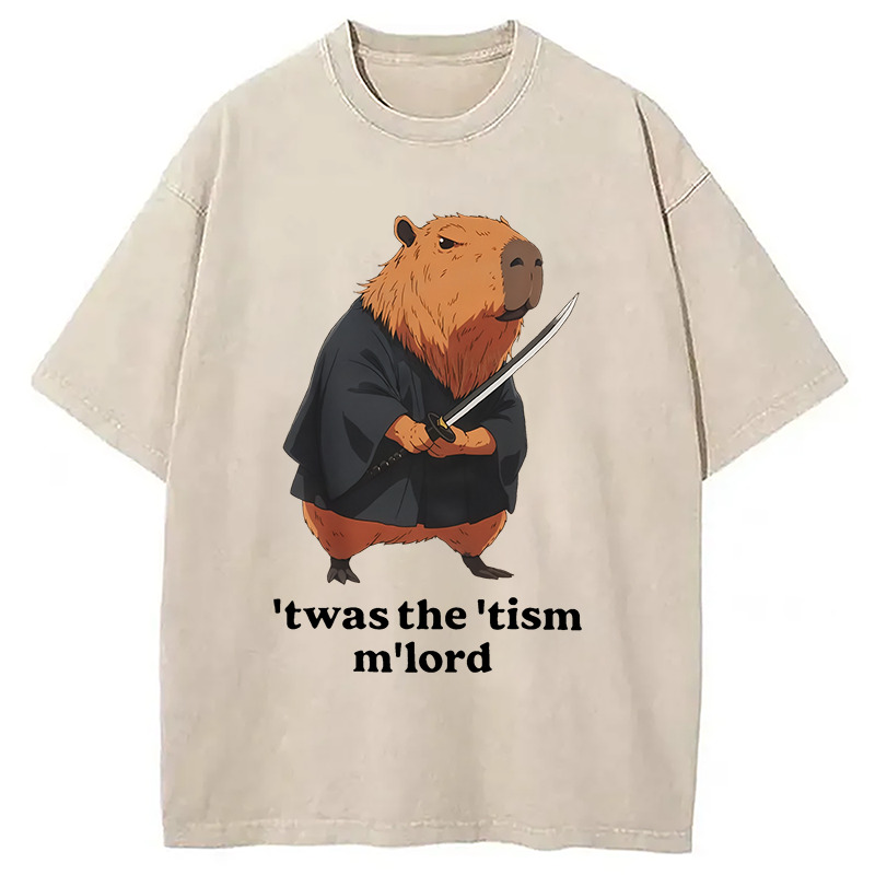 Focused Samurai Capybara Washed T-Shirt Unique Aesthetic Fashion Tee Gifts For Friends