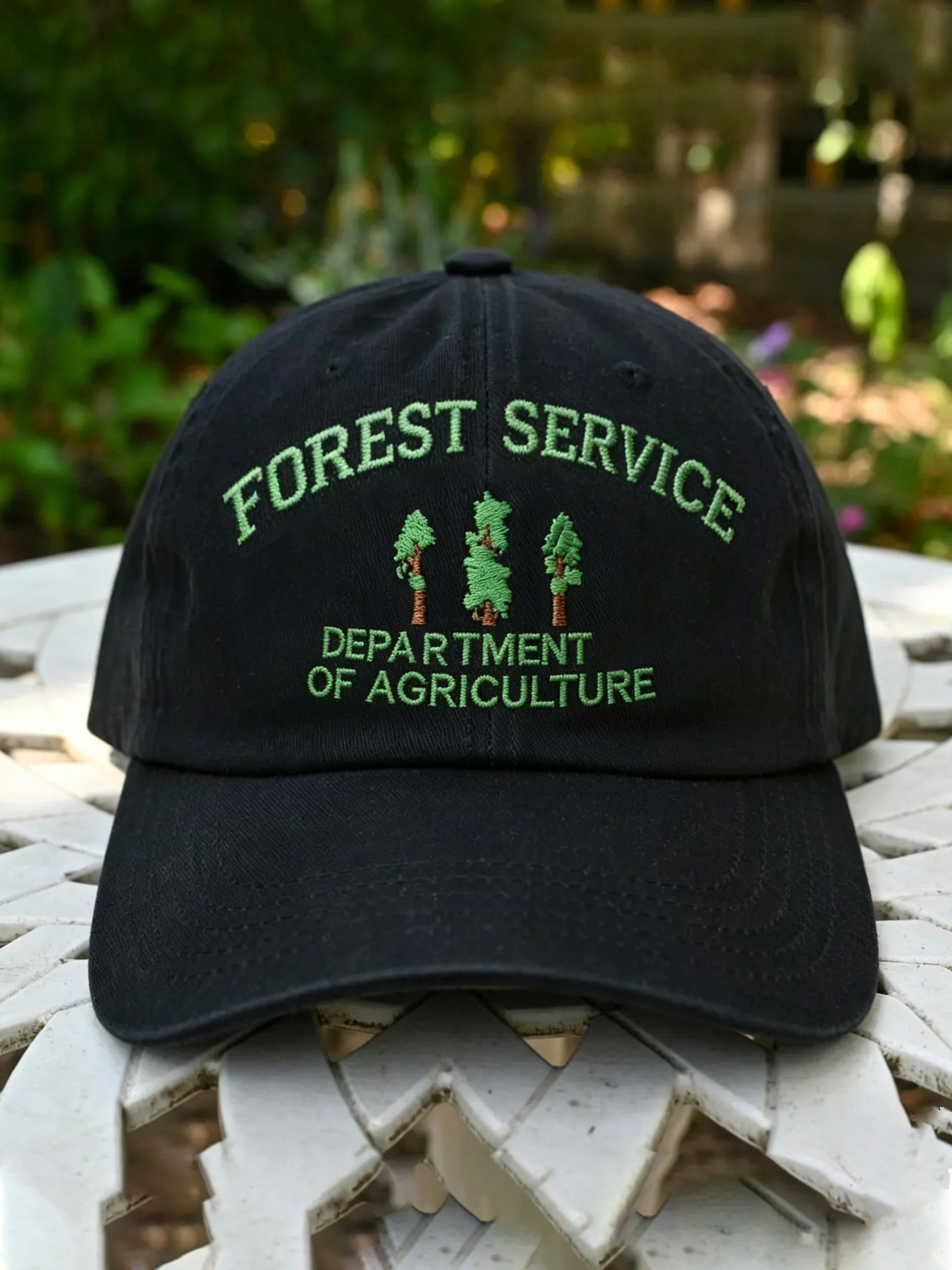 Forest Service Department Of Agriculture Hat Rebuilding The USFS Merch For Environmentalists