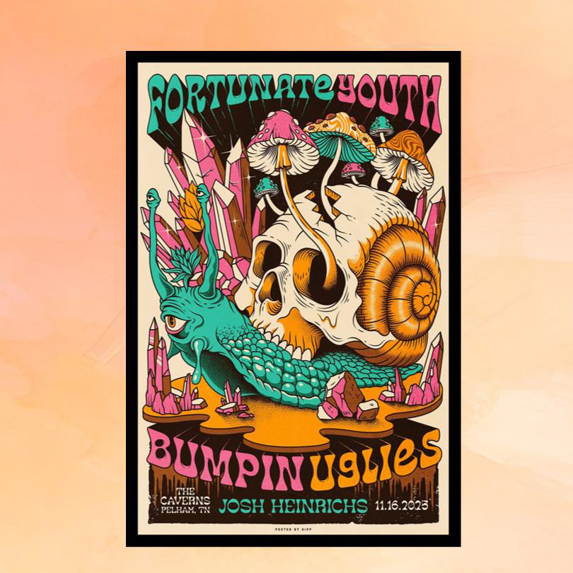 Fortunate Youth Merch Pelham TN November 16 2025 Concert Poster Gifts For Rock Music Lovers
