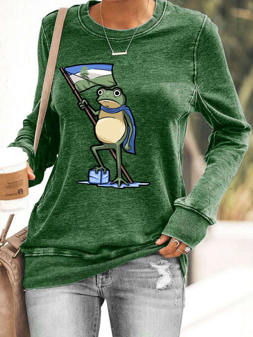 Frog Resist Hoodie Frog Raises Flag Anti ICE Merch Gifts For Liberal Friends