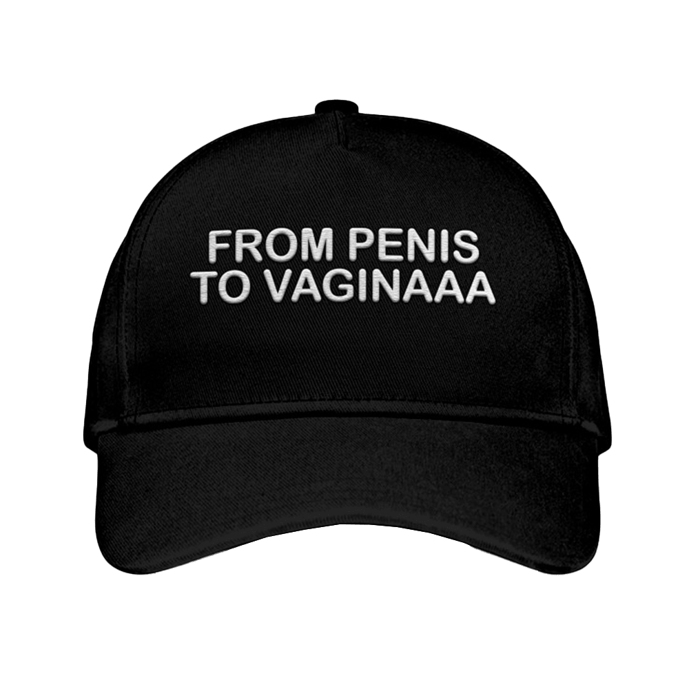 From Penis To Vaginaaa Hat Embroidered Humor Hat Gifts For Adults From Penis To Vaginaaa Hat Embroidered Humor Hat Gifts For Adults