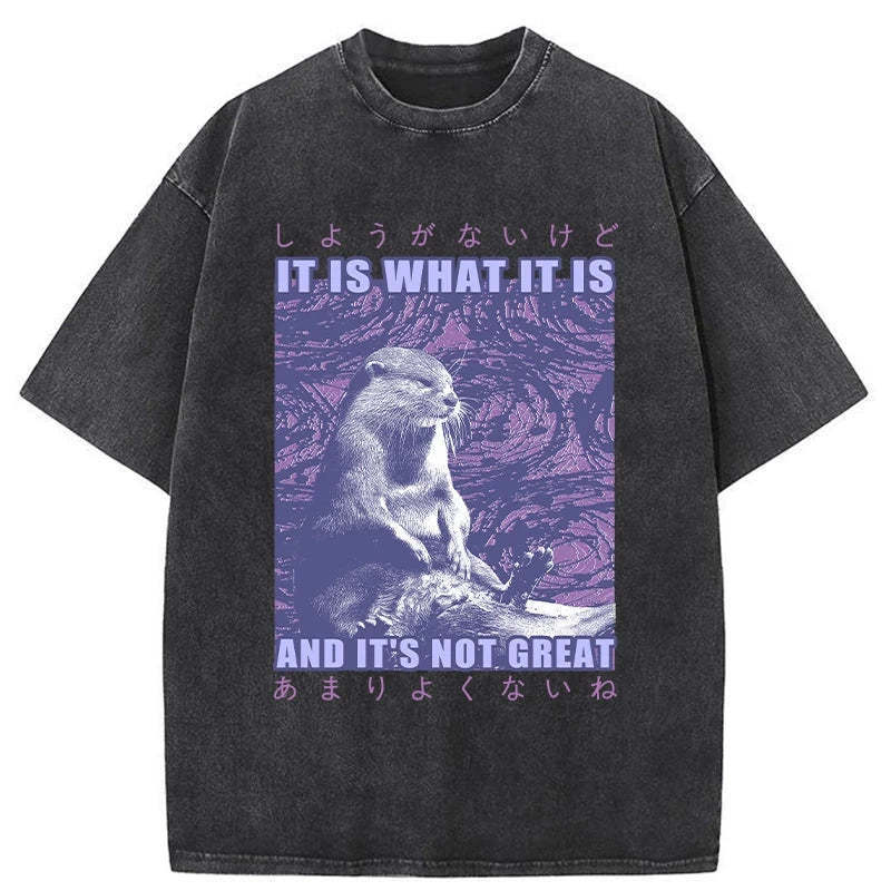 Frustrated Otter Japanese Washed T-Shirt Trendy Everyday Casual Outfit Gifts For Besties Frustrated Otter Japanese Washed T-Shirt Trendy Everyday Casual Outfit Gifts For Besties