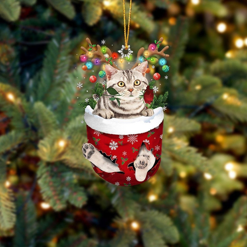 Funny American Shorthair Cat In Snow Pocket Christmas Ornament Flat Acrylic Cat Ornament