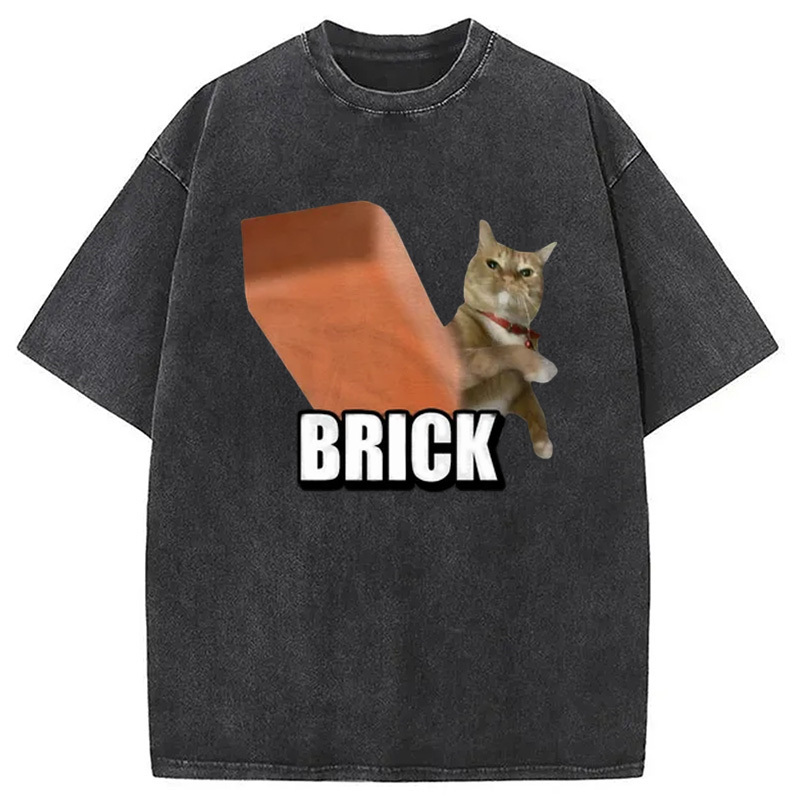 Funny Cat Throwing Brick Washed T-Shirt Casual Oversized Outfit Style Gifts For Besties Funny Cat Throwing Brick Washed T-Shirt Casual Oversized Outfit Style Gifts For Besties
