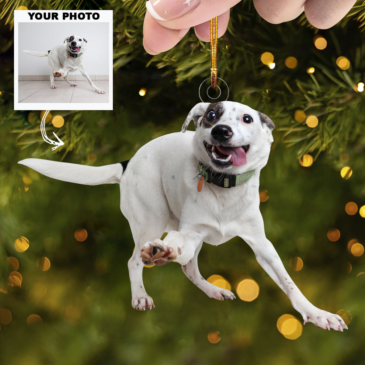 Funny Dog Personalized Photo Mica Ornament Christmas Gift For Dog Lovers Dog Owners