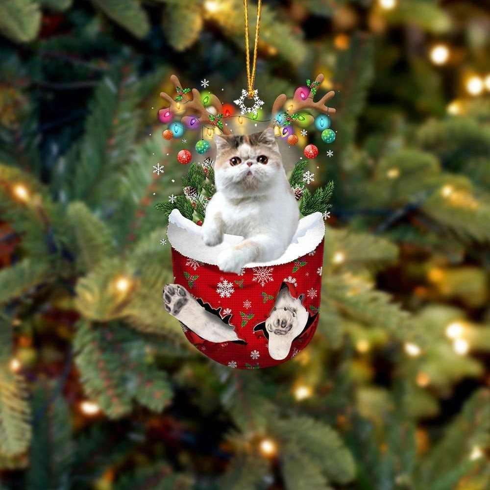 Funny Exotic Shorthair In Snow Pocket Christmas Ornament Flat Acrylic Cat Ornament