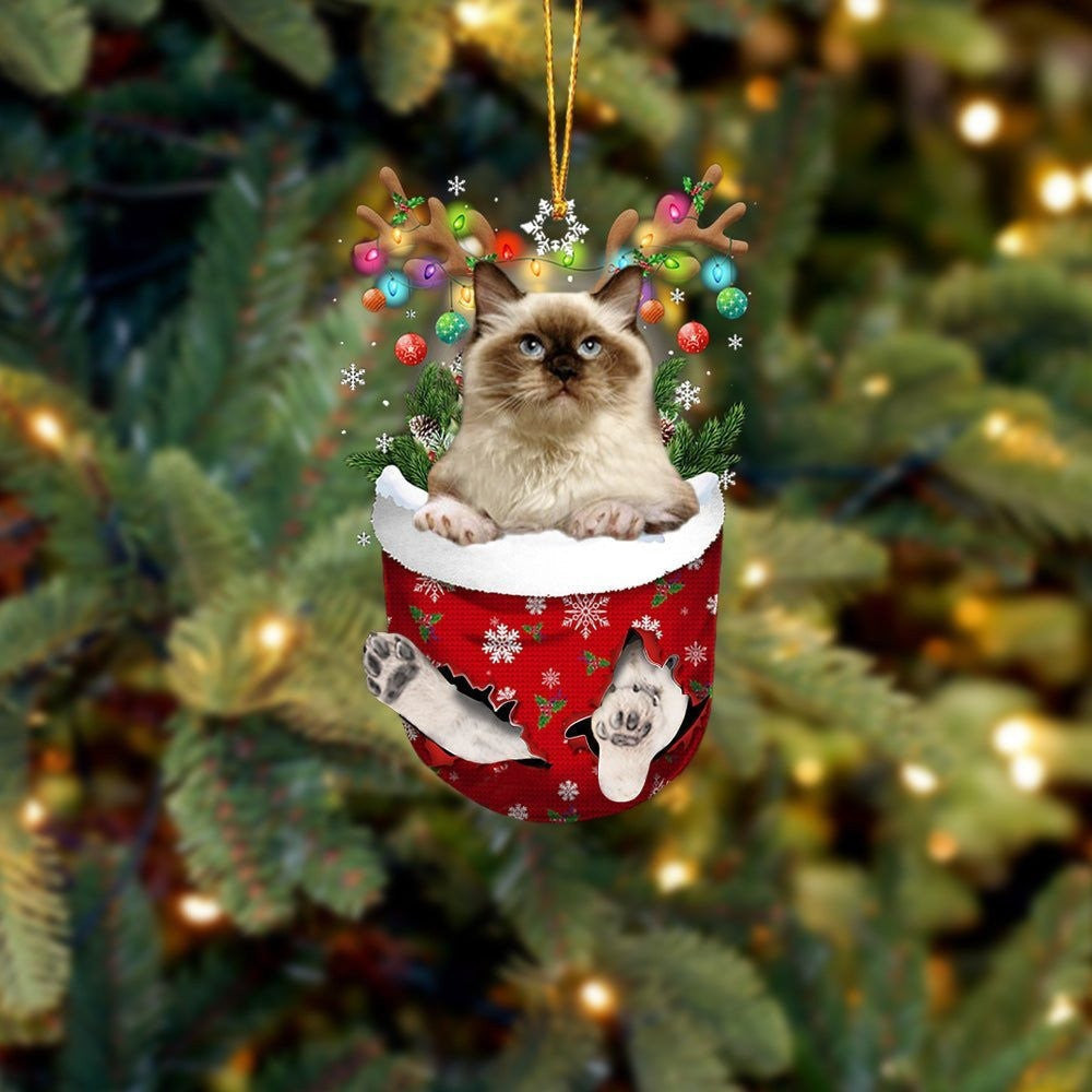 Funny Himalayan In Snow Pocket Christmas Ornament Flat Acrylic Cat Ornament