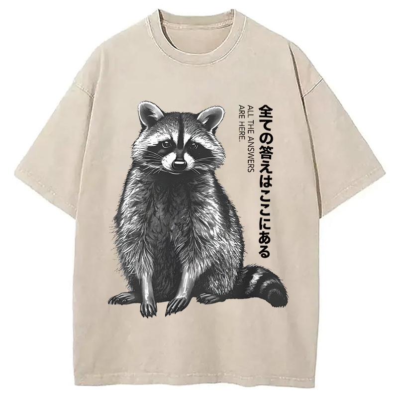 Funny Kawaii Raccoon Washed T-Shirt Soft Cotton Daily Wear Tee Gifts For Besties