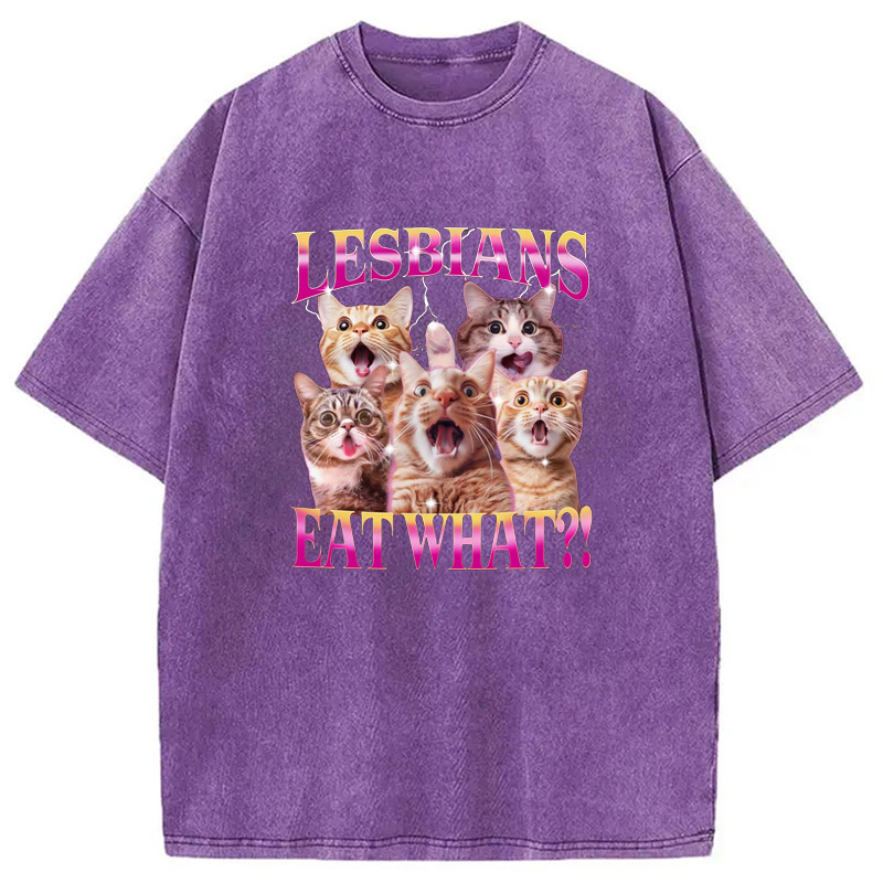 Funny Lesbian Cat Washed T-Shirt Cool Urban Street Style Shirt Gifts For BFF Funny Lesbian Cat Washed T-Shirt Cool Urban Street Style Shirt Gifts For BFF