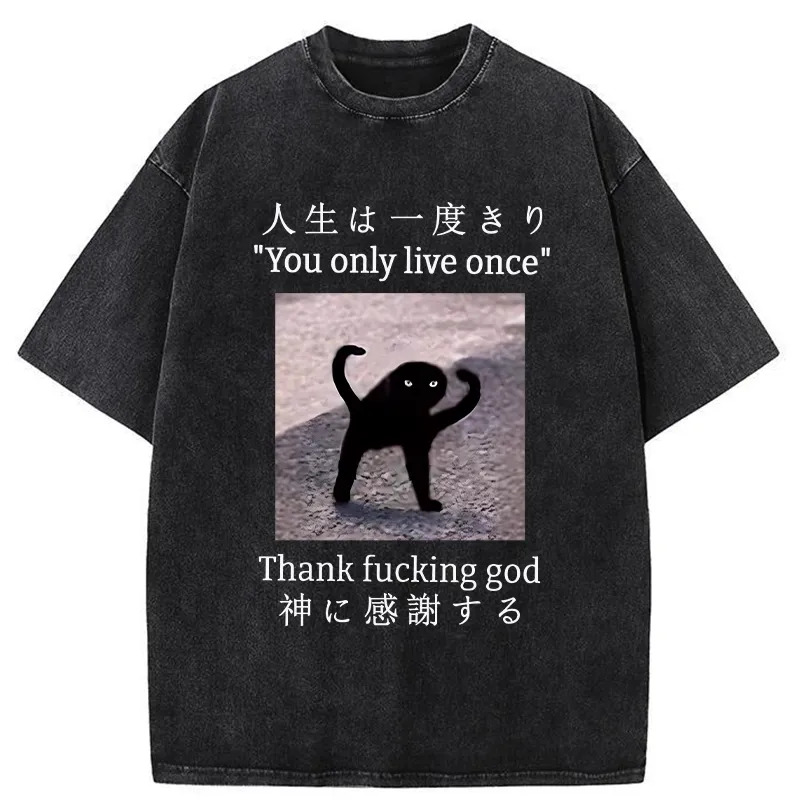 Funny Mysterious Cat Washed T-Shirt Unique Aesthetic Fashion Tee Gifts For Him