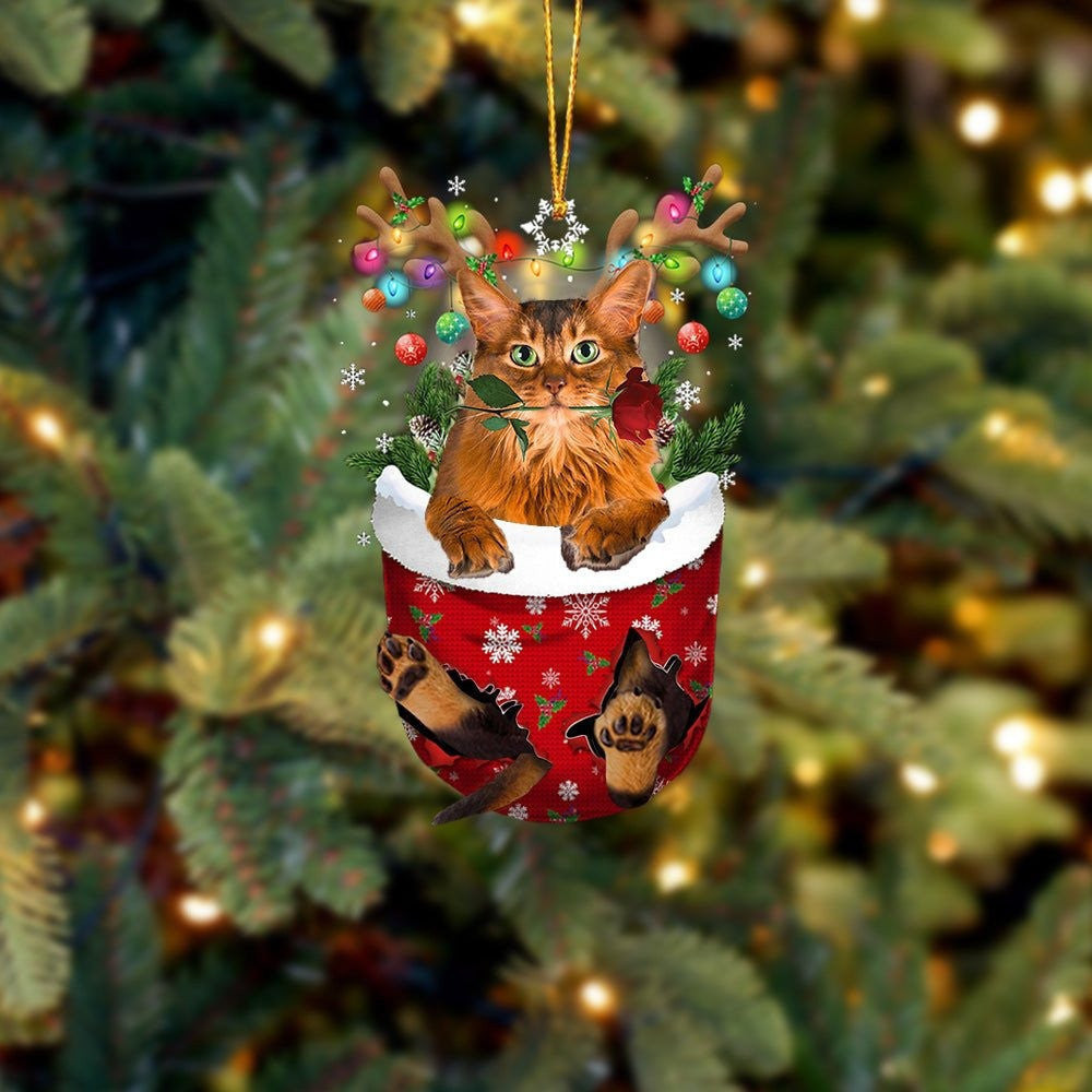 Funny Somali Cat In Snow Pocket Christmas Ornament Flat Acrylic Cat Ornament