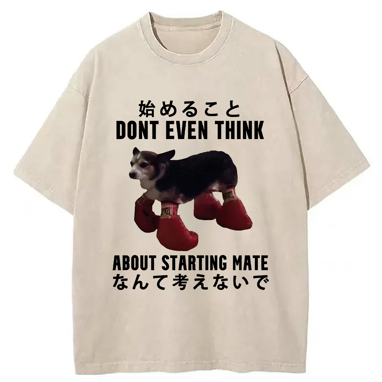 Funny Violent Boxer Washed T-Shirt Unique Aesthetic Fashion Tee Gifts For Sister