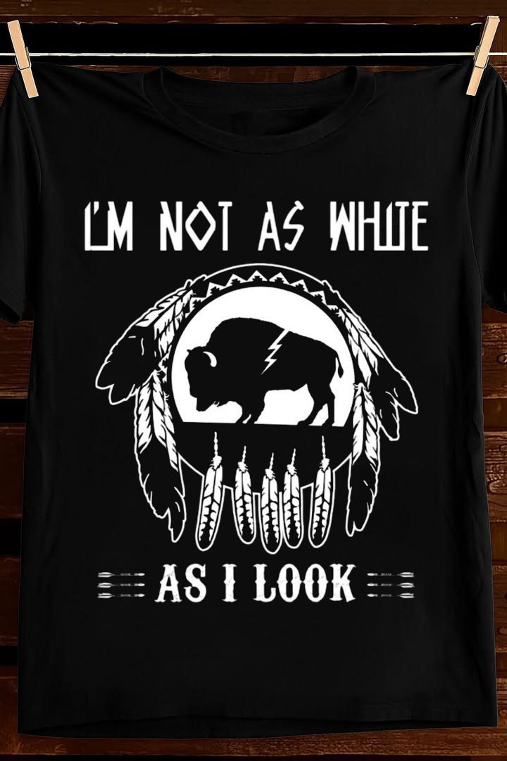 Funny Warrior Skull T Shirt Native Humor Indigenous Pride Graphic Tees Best Gift For Dad