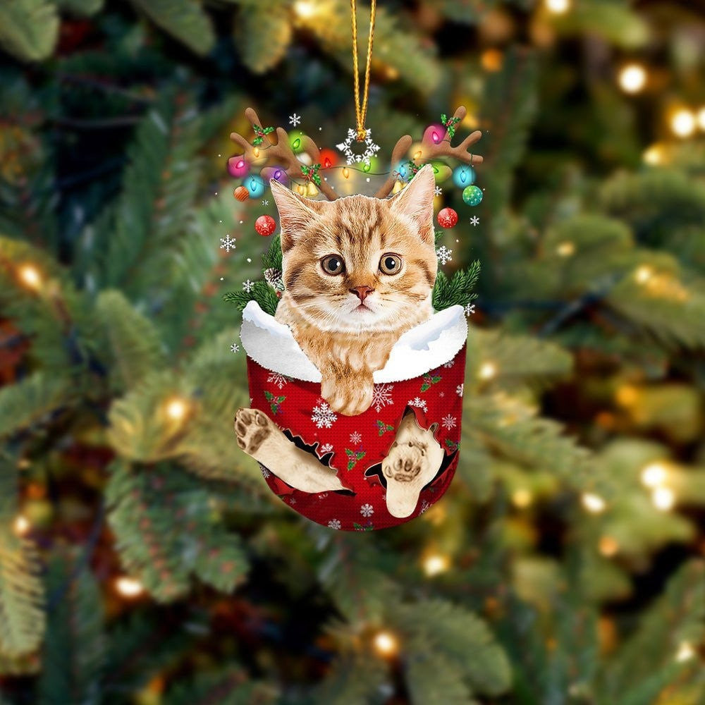 Funny Yellow Cat In Snow Pocket Christmas Ornament Flat Acrylic Cat Ornament