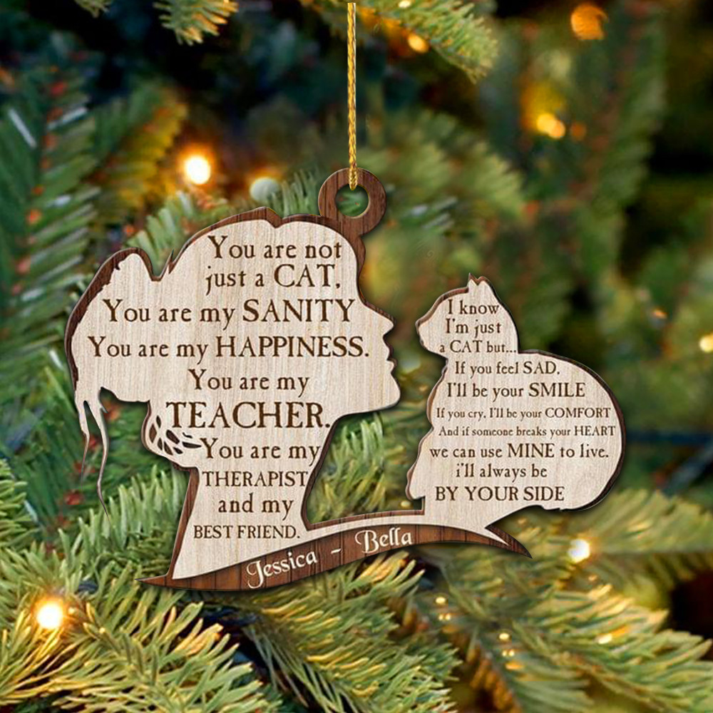 Girl And Cat Ornament You Are Not Just A Cat You Are My Sanity Quotes Ornament Cat Lovers Gifts