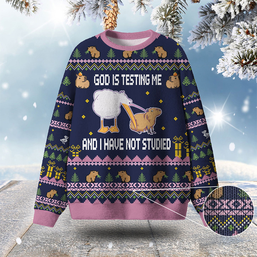 God Is Testing Me Ugly Christmas Sweater Funny Sweater Christmas Gifts For Animal Lovers