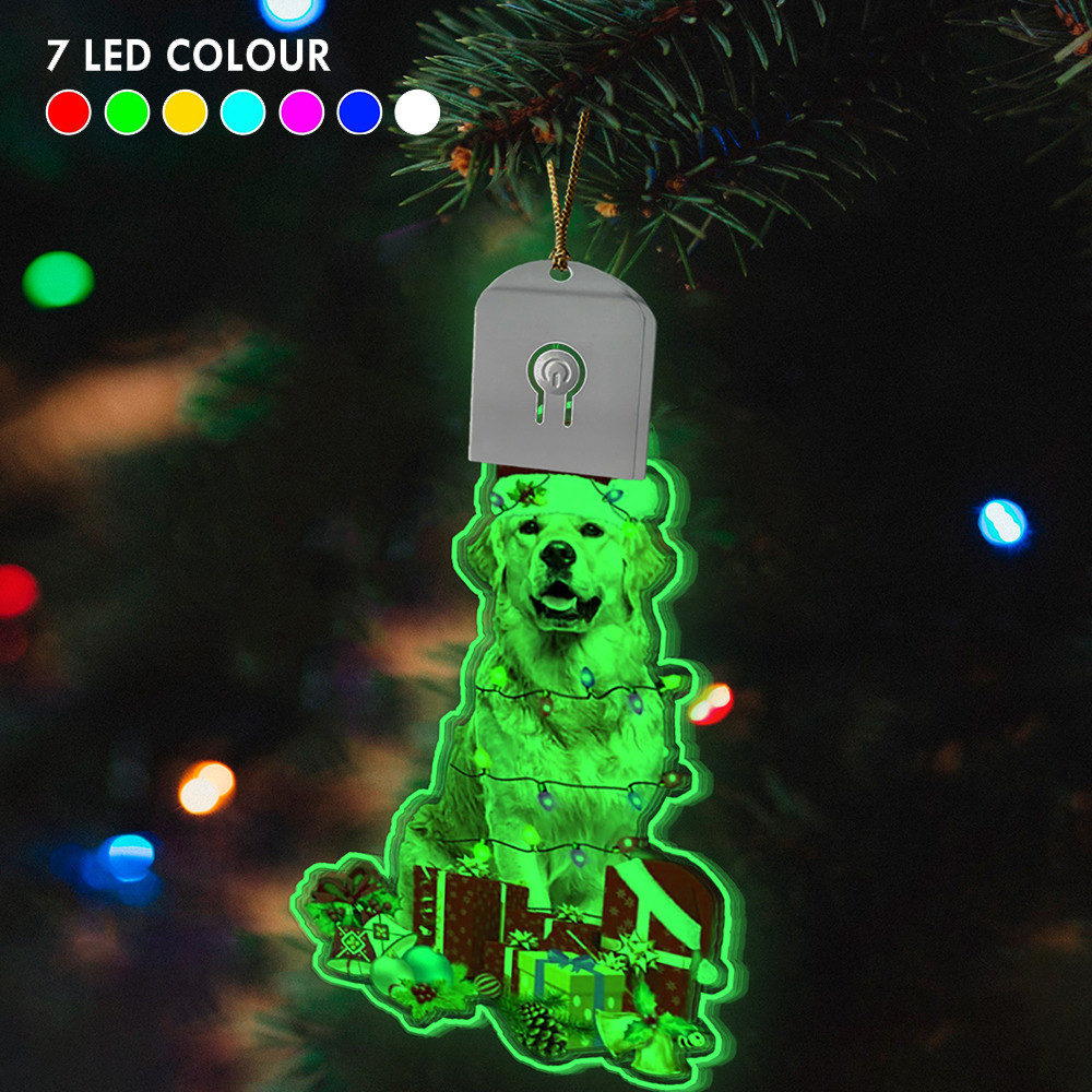 Golden Retriever Led Christmas Ornament Dog Owner Light Up Xmas Ornaments 2024 Decor Gifts