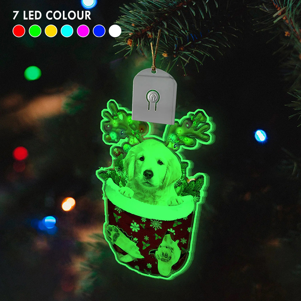 Golden Retriever Led Christmas Ornament Pet Lover Light Up Christmas Tree Ornament Decor Gift