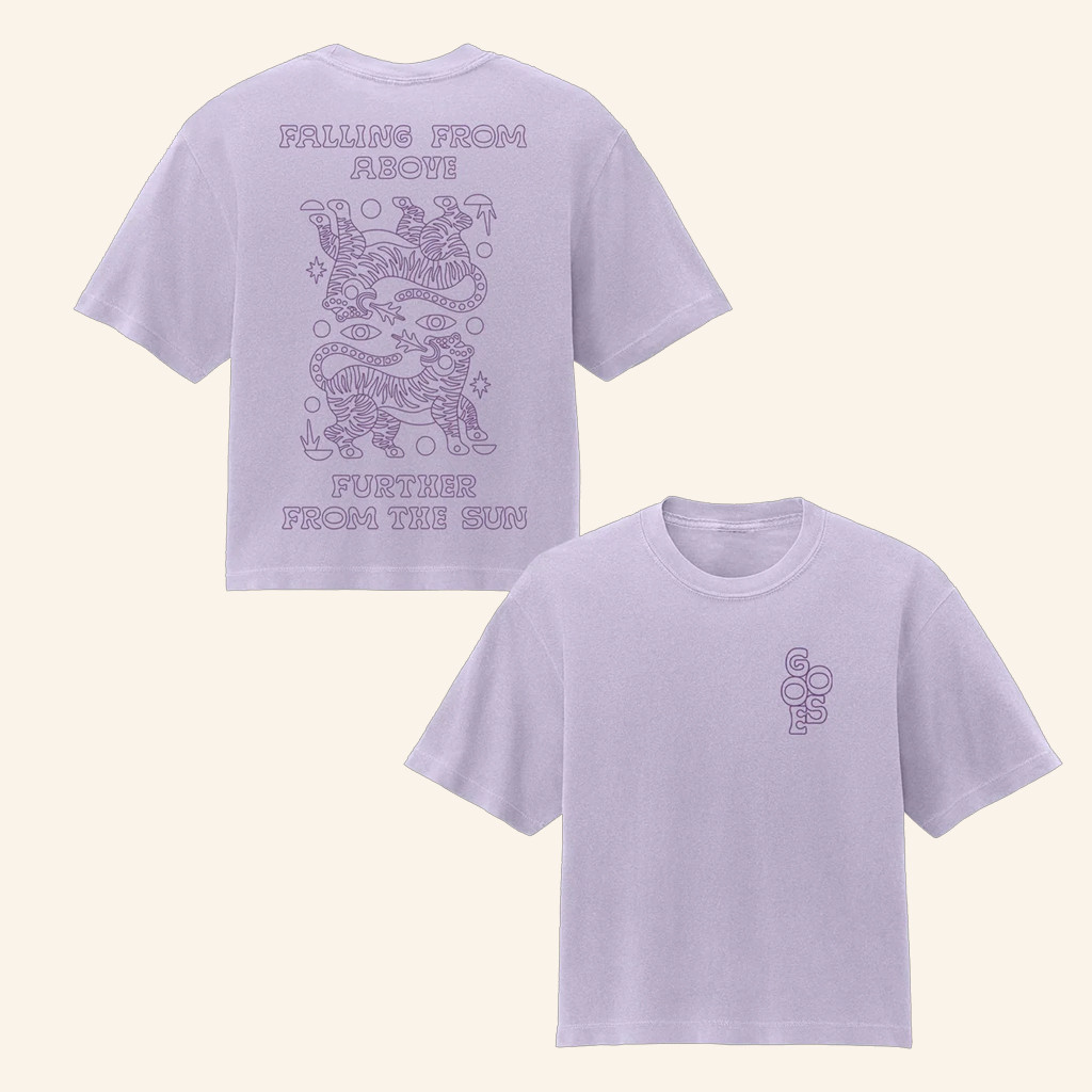 Goose Merch Falling From Above Further From The Sun T-Shirt Gifts For Wife Goose Merch Falling From Above Further From The Sun T-Shirt Gifts For Wife