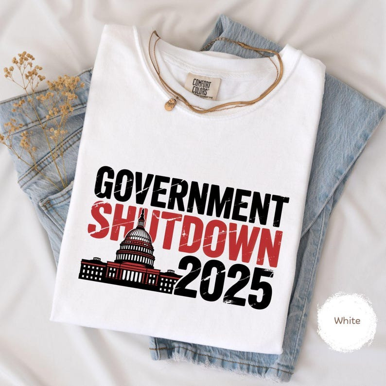 Government Shutdown 2025 T-Shirt Stand Up For America Shirt Best Protest Gift Ideas