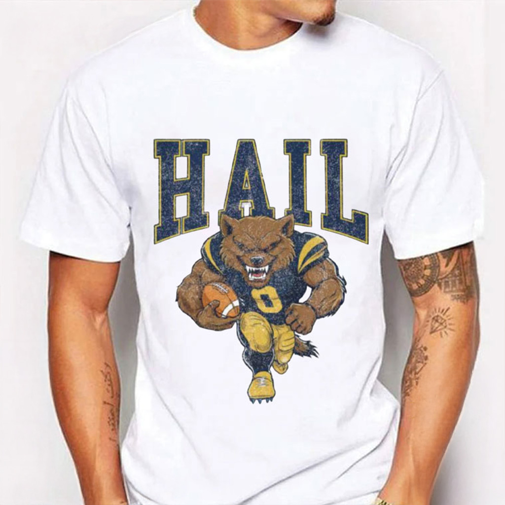 Hail Michigan Wolverines University Football Vintage T-Shirt Christmas Gifts For Football Lovers Hail Michigan Wolverines University Football Vintage T-Shirt Christmas Gifts For Football Lovers