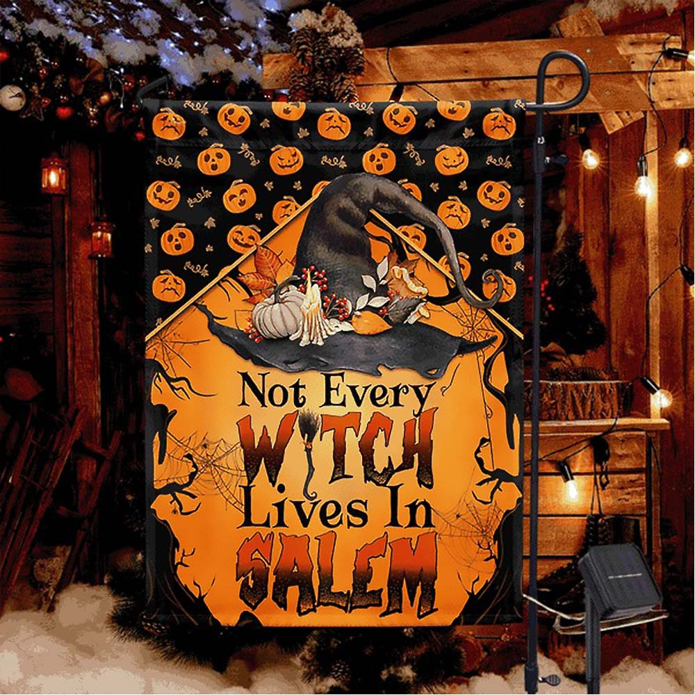 Halloween Witch Not Every Witch Lives in Salem Flag Halloween Gift For Adults