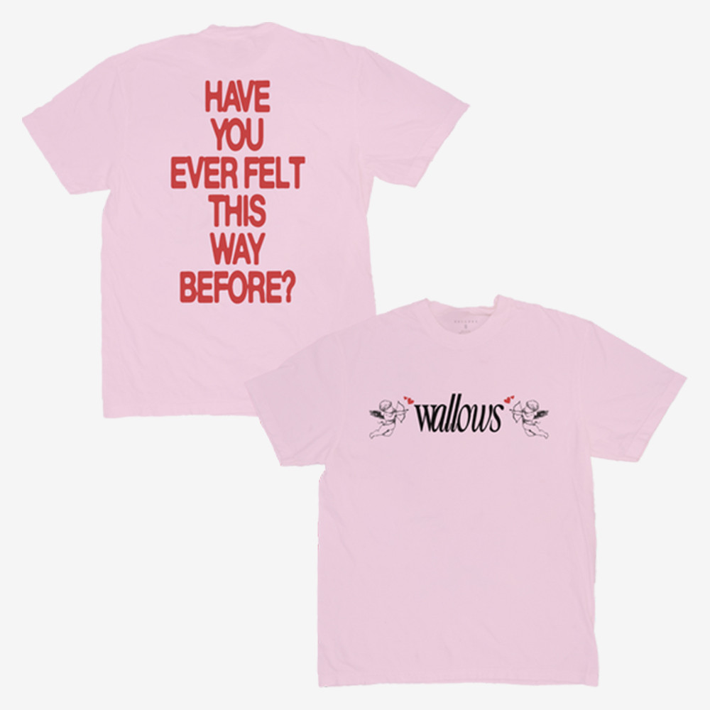 Have You Ever Felt This Way Before Angel T-Shirt Swallow Clothes Rock Music Lover Gift For Fan