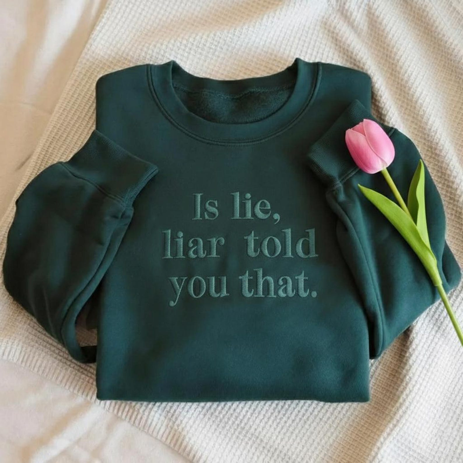 Heated Rivalry Merch Is Lie Liar Told You That Sweatshirt Heated Movie Rivalry Shirt