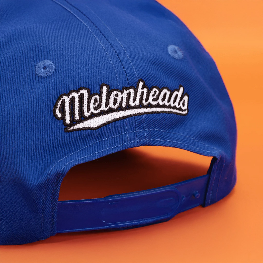 Homestar Runner Merch Backyard Baseball Melonheads Hat Embroidered Gifts For Son Homestar Runner Merch Backyard Baseball Melonheads Hat Embroidered Gifts For Son