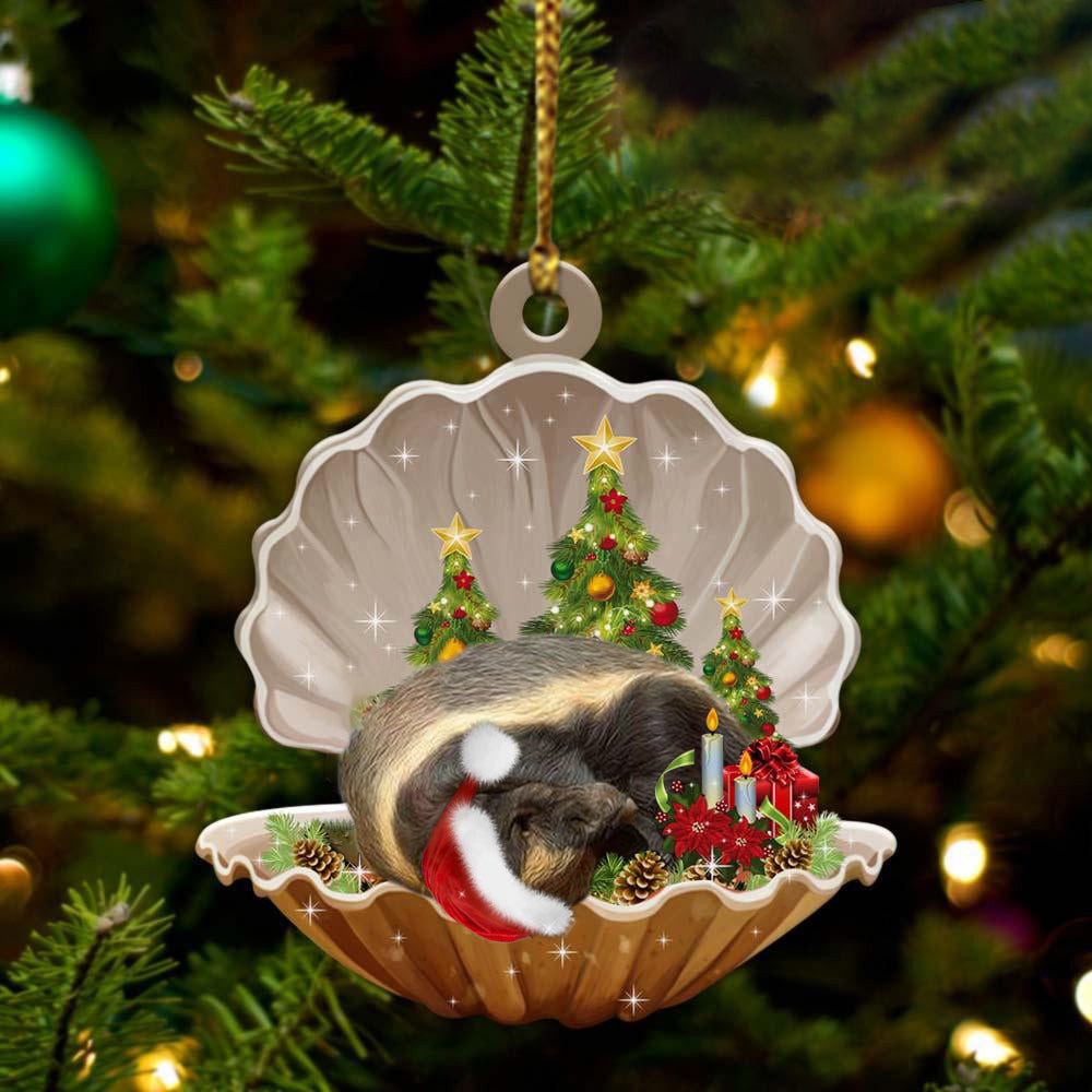Honey Badger3 Sleeping in Pearl Dog Christmas Ornament Flat Acrylic