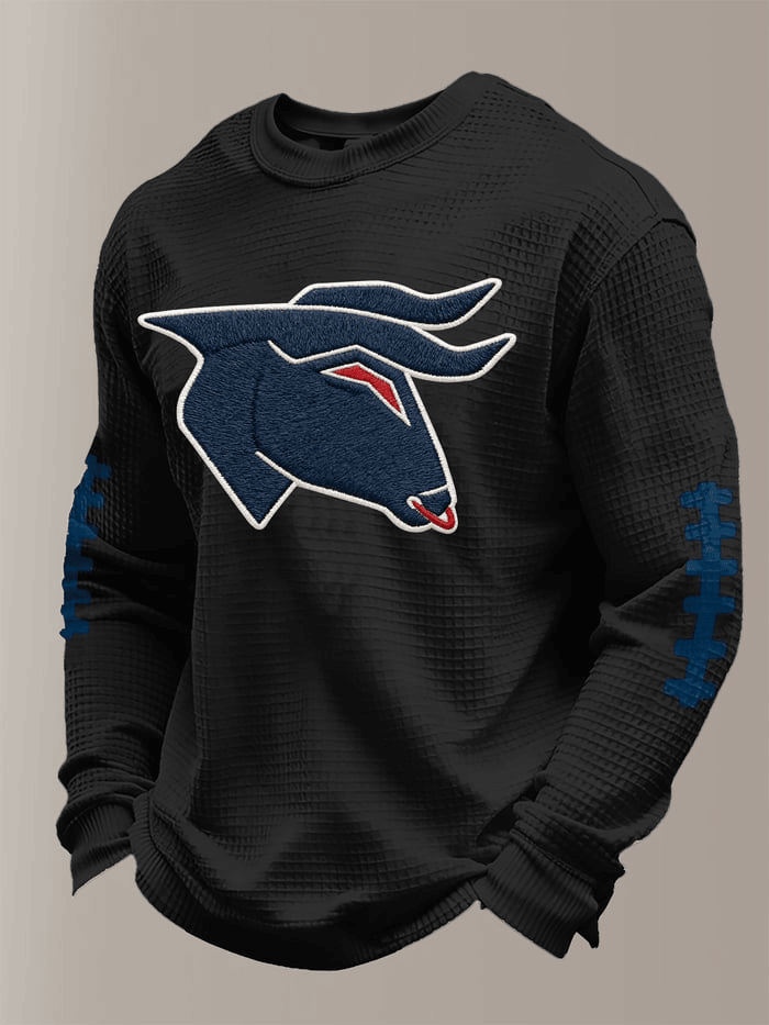 Houston Football Super Bowl Long Sleeve T-Shirt Texans Merch Houston Pride Apparel Dad Gifts