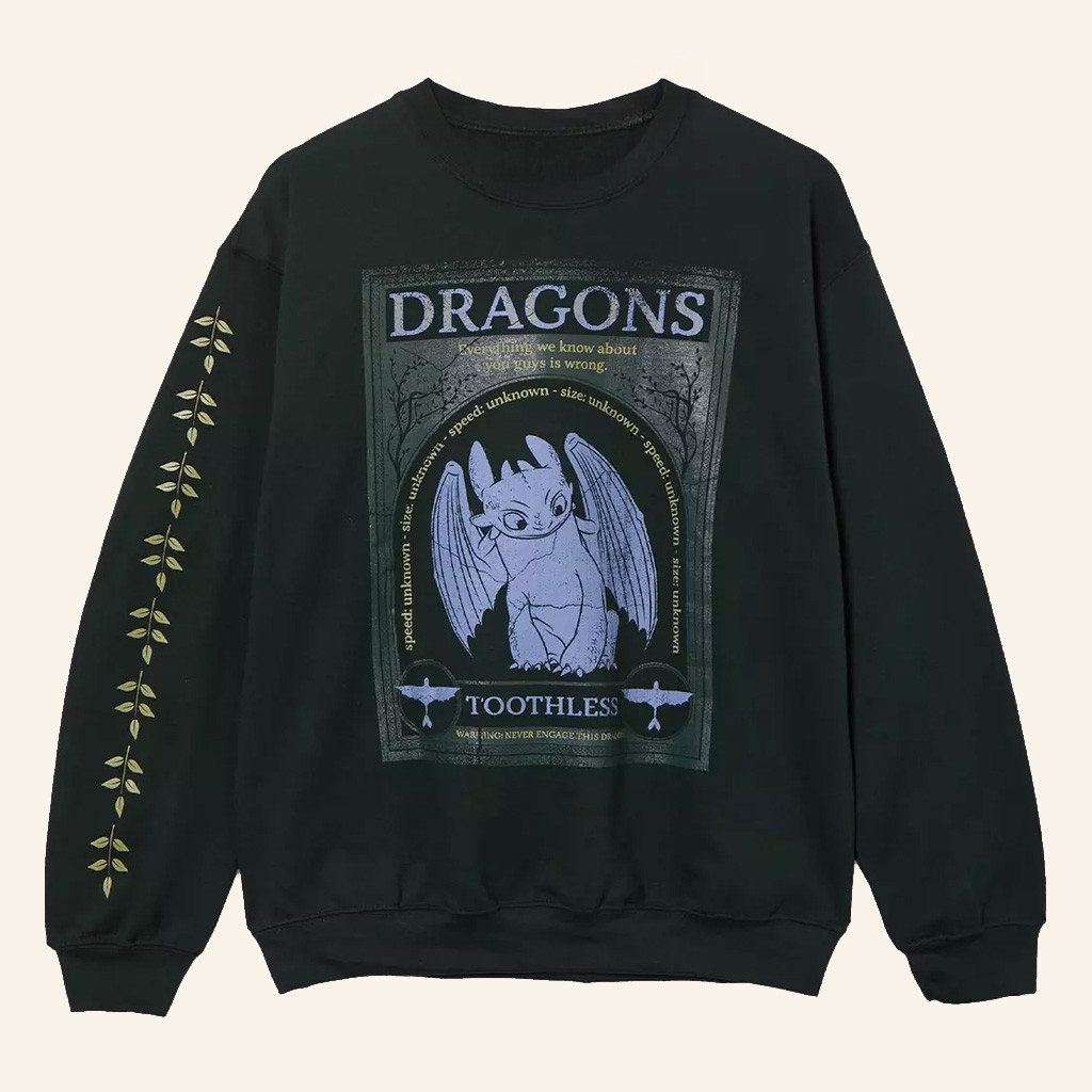 How To Train Your Dragon Merch Toothless Frame Portrait Sweatshirt Gifts For Dragon Lovers