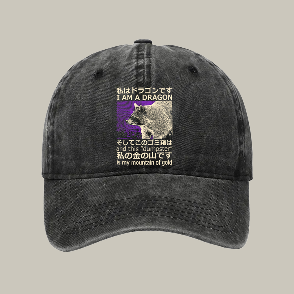 I Am A Dragon And This Dumpster Is My Mountain Of Gold Washed Cap Silly Hat Xmas Gift Ideas