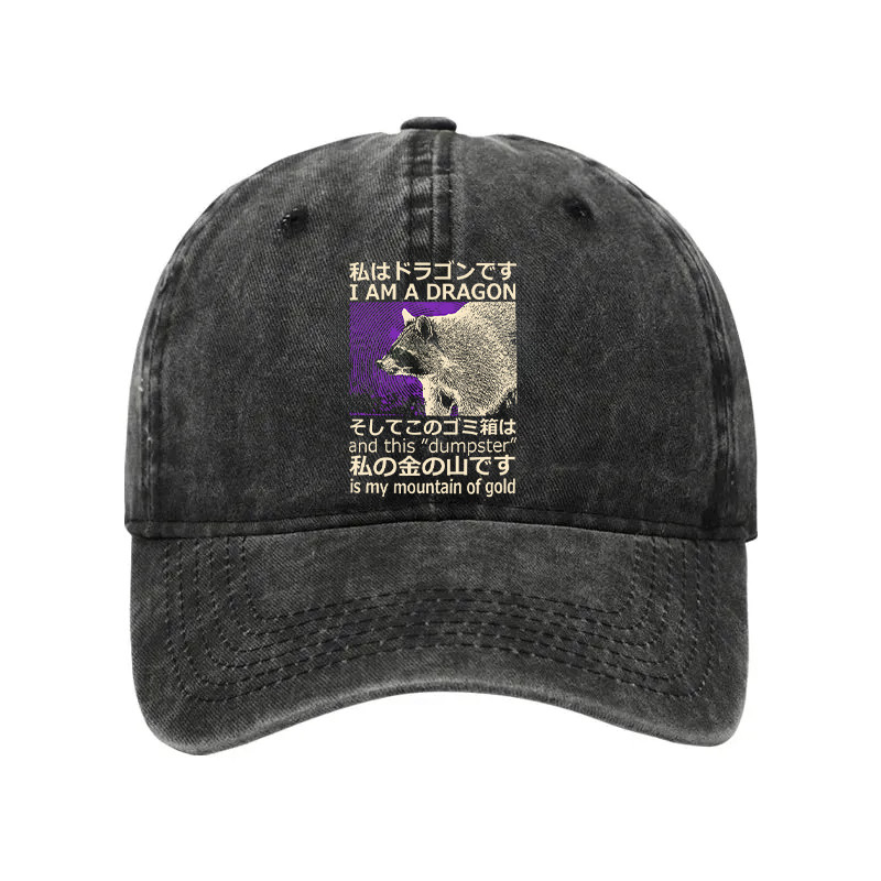 I Am A Dragon And This Dumpster Is My Mountain Of Gold Washed Hat Trendy Cap Best Gift Ideas