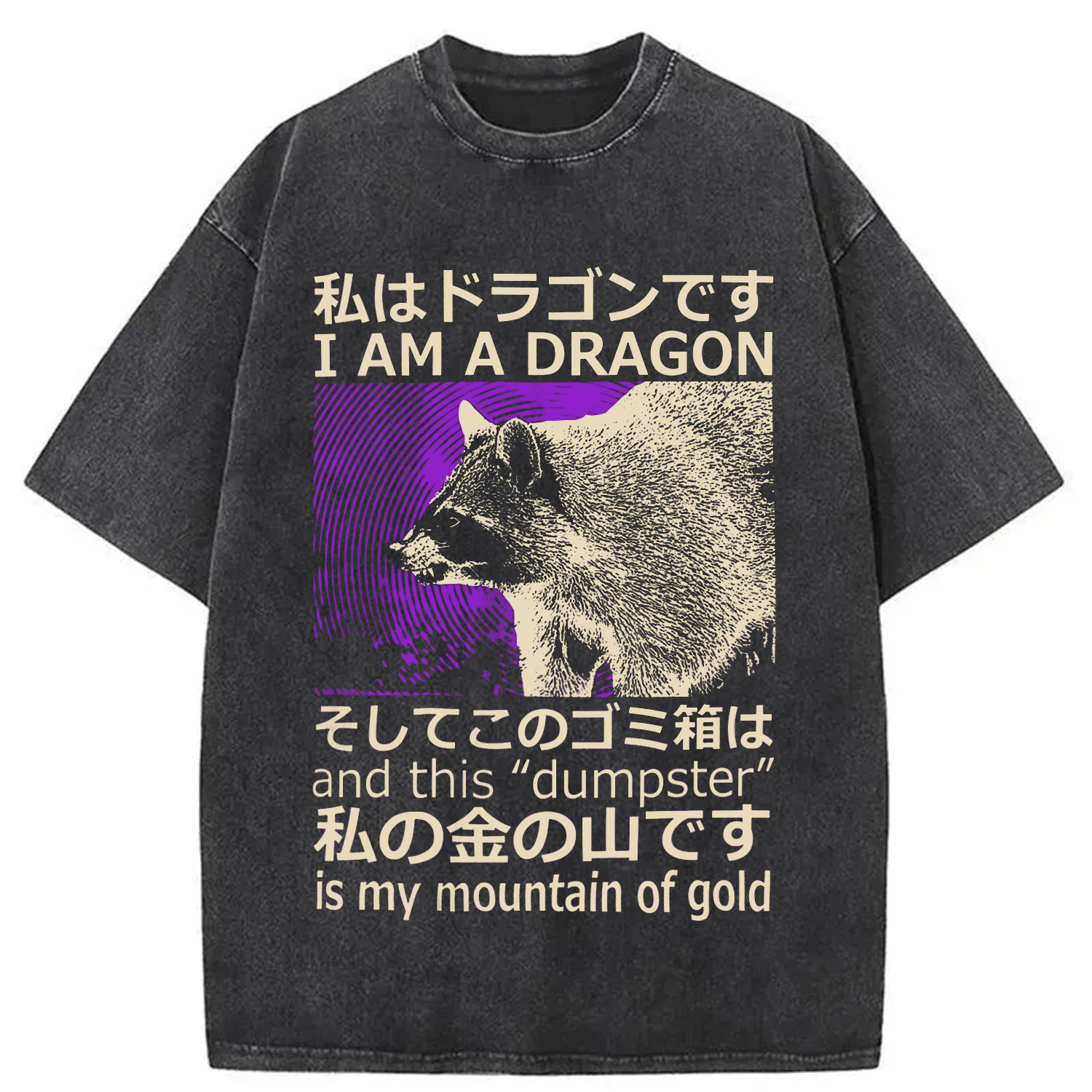 I Am A Dragon and this Dumpster is My Mountain of Gold Washed T-Shirt Soft Cotton Daily Wear Tee Gifts For Brother I Am A Dragon and this Dumpster is My Mountain of Gold Washed T-Shirt Soft Cotton Daily Wear Tee Gifts For Brother