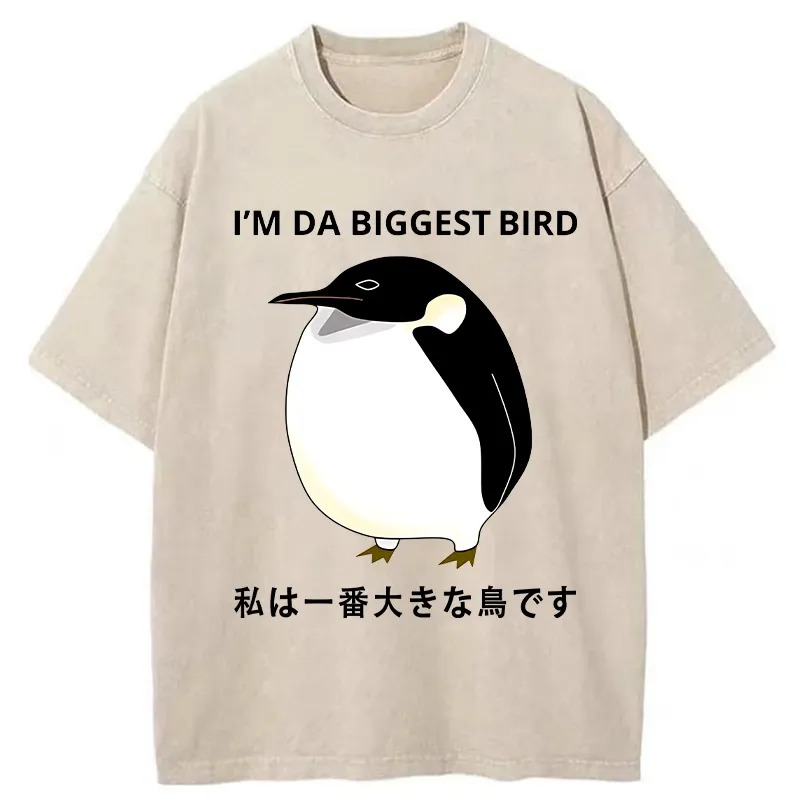 I Am The Biggest Bird Washed T-Shirt Retro Humor Graphic Top Gifts For Sister
