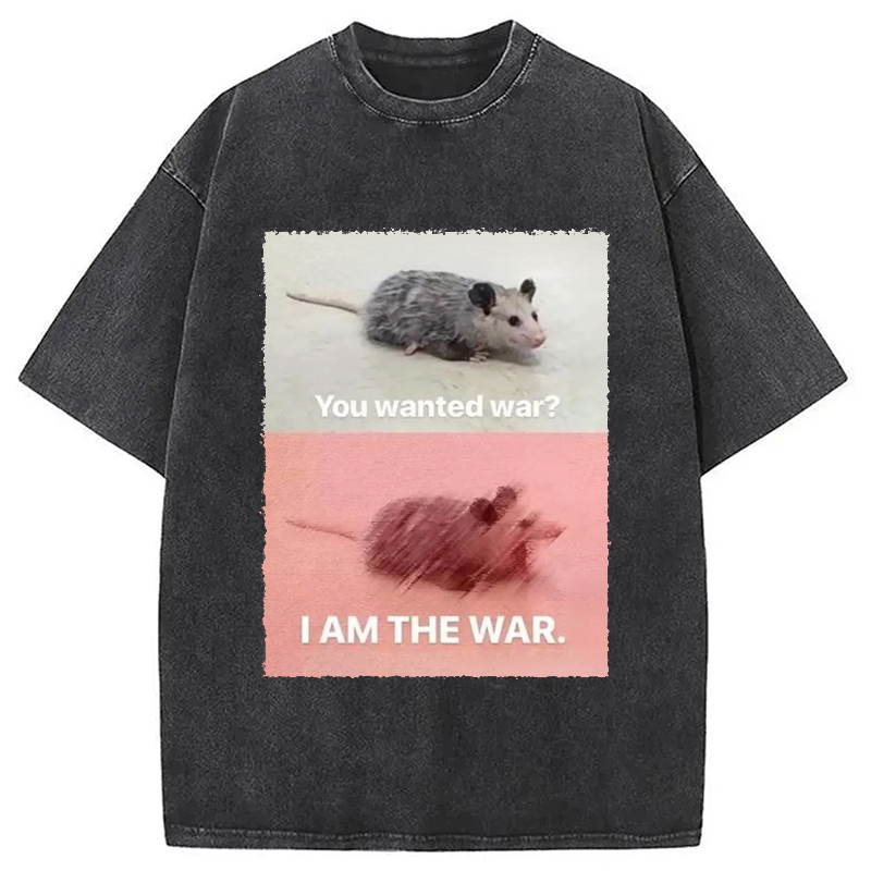 I Am The War Washed T-Shirt Trendy Aesthetic Graphic Apparel Gifts For Brother