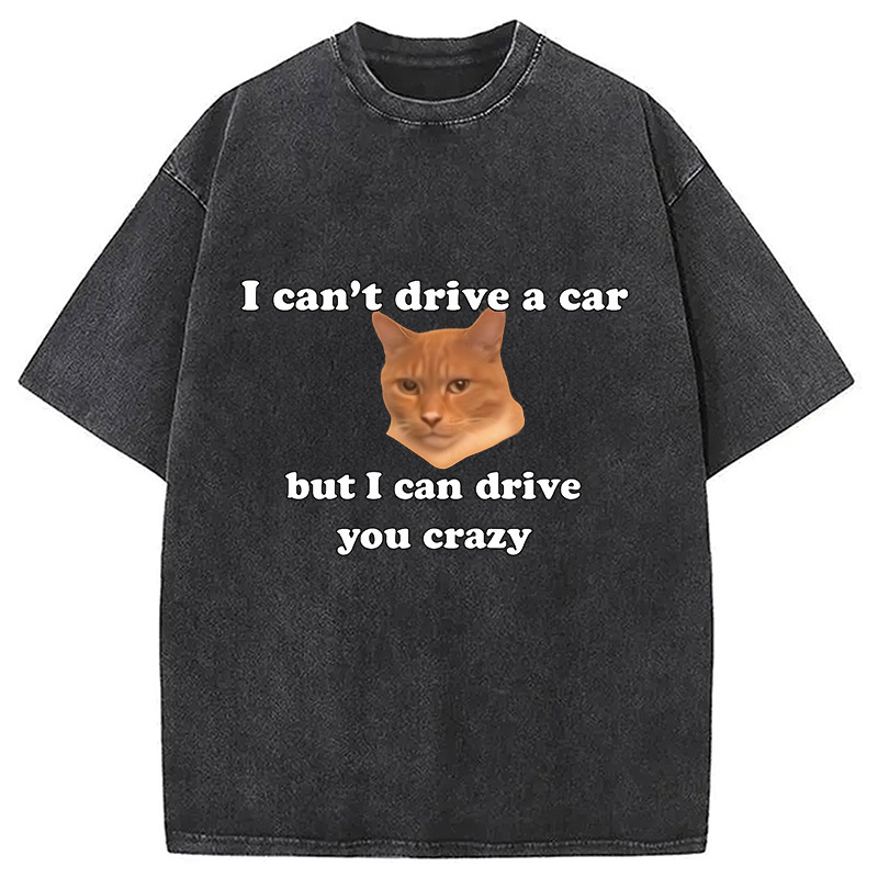 I Can Drive You Funny Cat Meme Washed T-Shirt Minimal Retro Graphic Clothing Gifts For Her