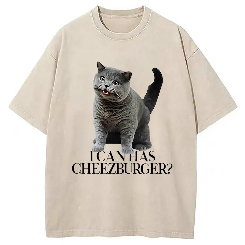 I Can Has Cheezburger Washed T-Shirt Retro Humor Graphic Top Gifts For Friends