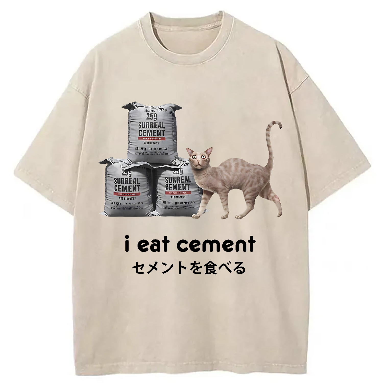 I Eat Cement Cursed Cat Washed T-Shirt Trendy Everyday Casual Outfit Gifts For Sister