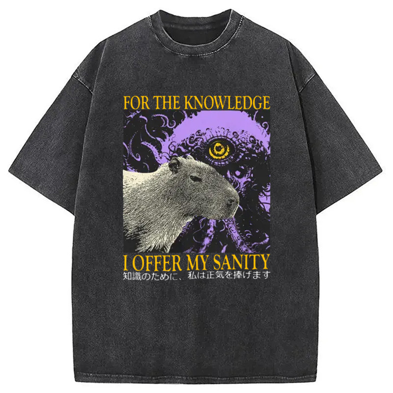 I Offer My Sanity Vintage Japanese Capybara Washed T-Shirt Funny Quote Unisex Shirt Gifts For Besties