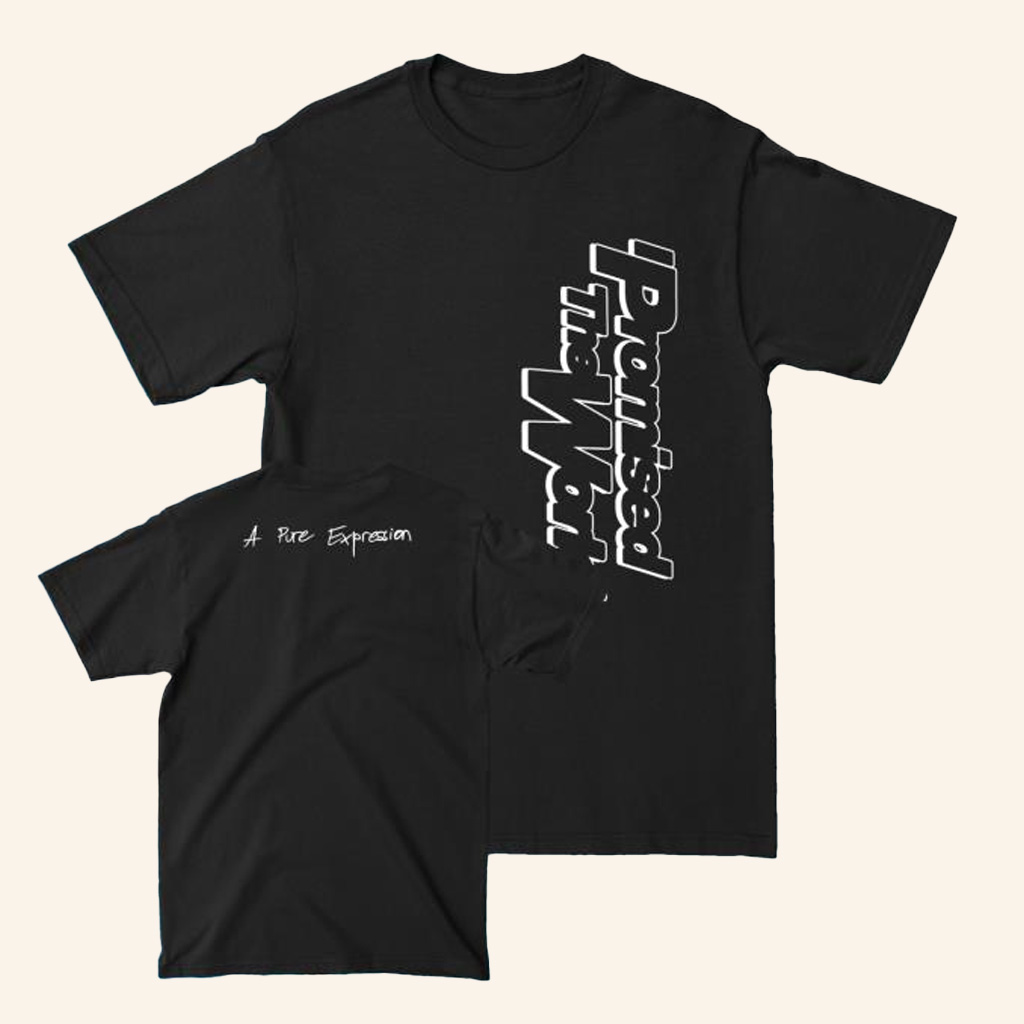 I Promised The World Merch A Pure Expression T-Shirt Gift Ideas For Friends