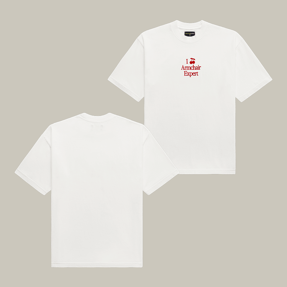 I Really Armchair Expert T-Shirt Really Great Station Shirt Gift Ideas For Husband