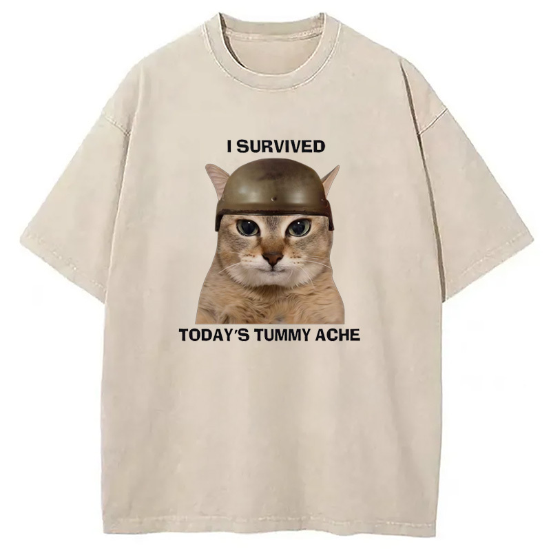 I Survived Today's Tummy Ache Washed T-Shirt Retro Humor Graphic Top Gifts For Brother